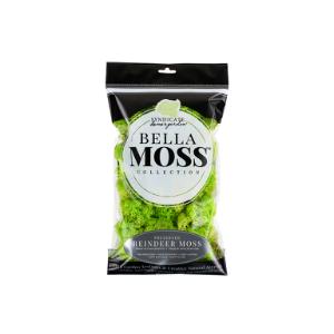 Bella Moss 140901070 Preserved Spanish Bulk Moss Green 