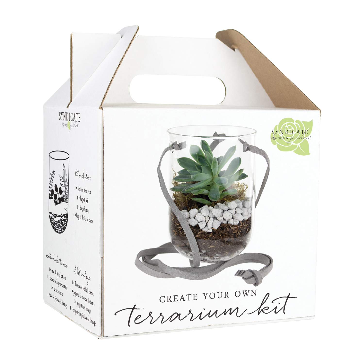 Capsule Terrarium  Kit
