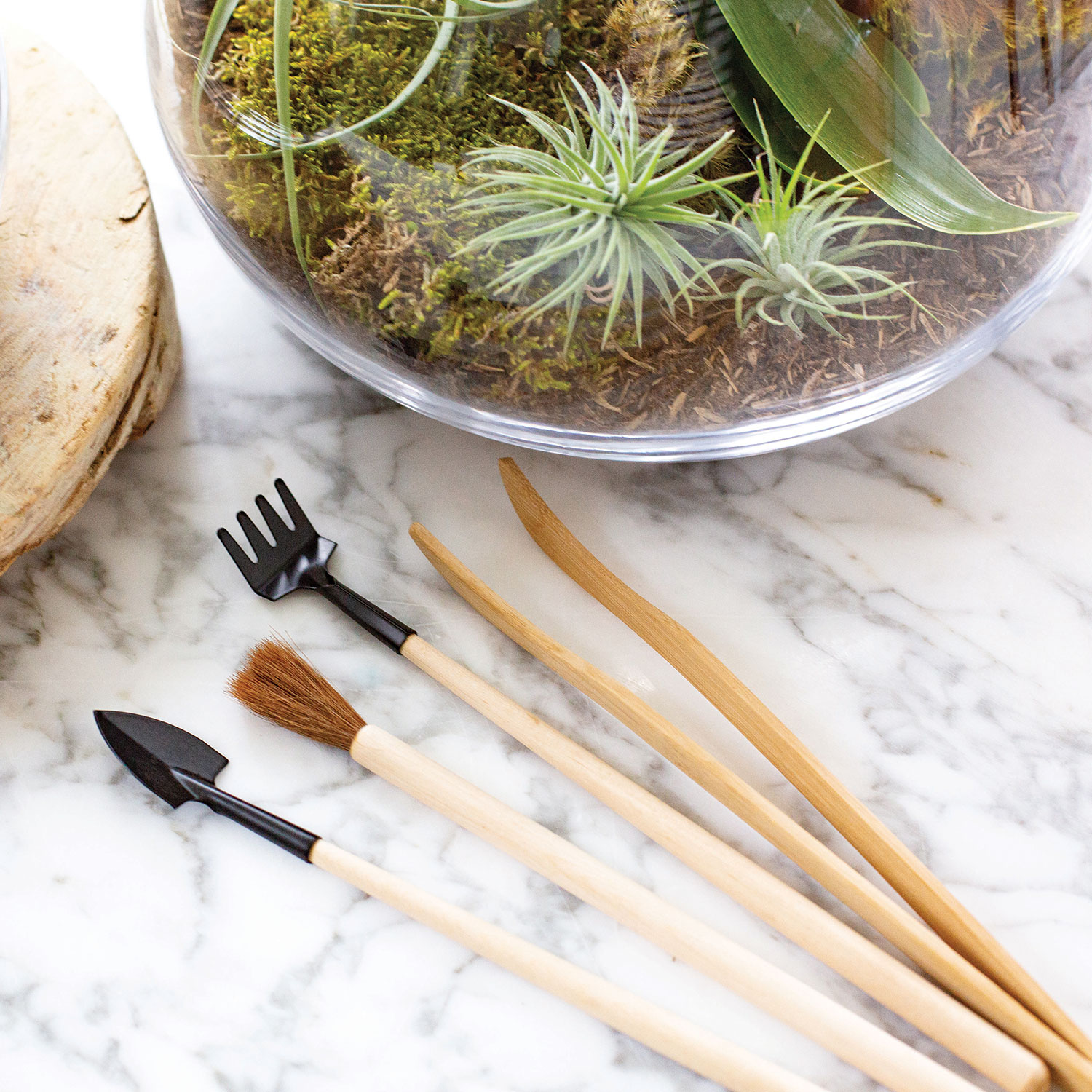 4 Pc. Terrarium Tool Kit